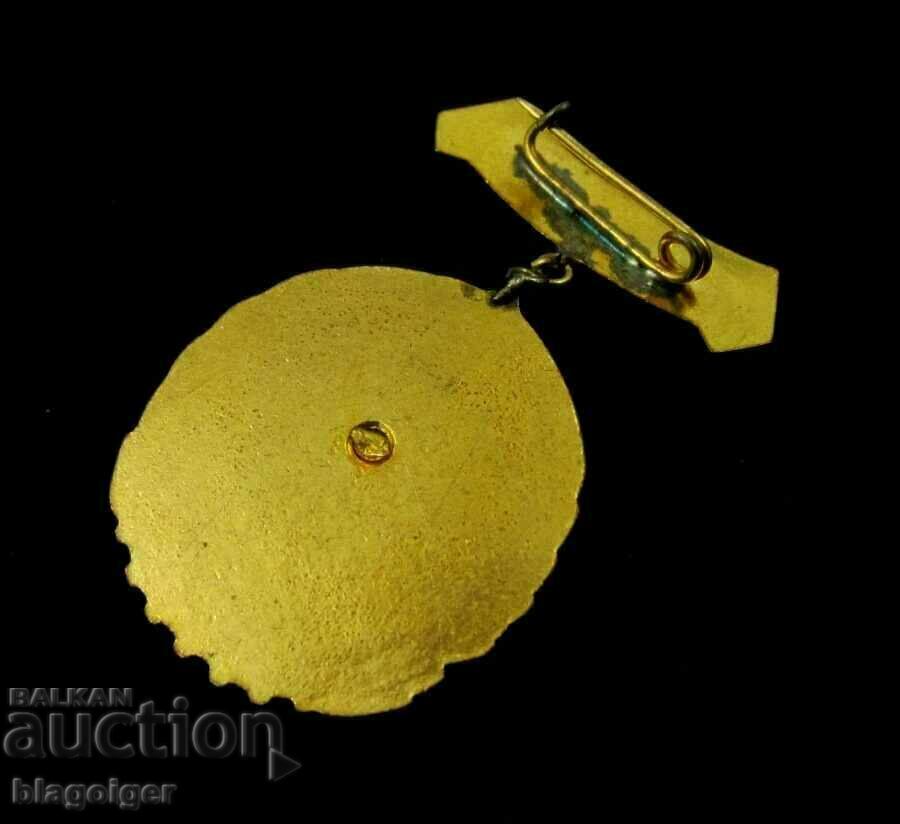 DSNM-Award badge-For active work-Email - 5 DSNM-Award badge-For active work-Email - 5