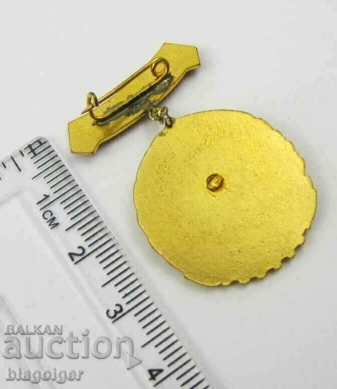 DSNM-Award badge-For active work-Email - 6 DSNM-Award badge-For active work-Email - 6