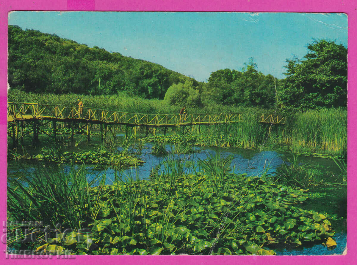 Auction 307981 / Arcutino water lilies Akl 2001 Photo edition Bulgaria PK Auction 307981 / Arcutino water lilies Akl 2001 Photo edition Bulgaria PK