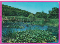 307985 / Arcutino water lilies Akl 2001 Photo edition Bulgaria PK