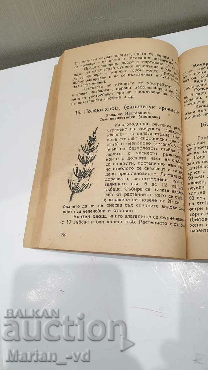 Instrucțiuni pentru recunoaștere, colectare, pregătire și depozitare - 6