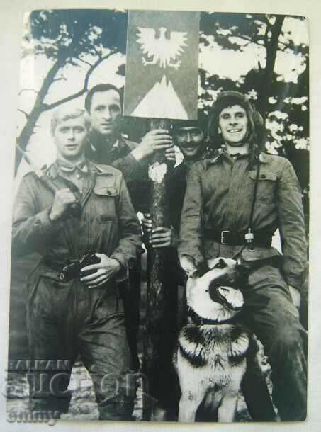 Old photo/card "The four tankers and the dog" - 4 pcs. with price 4.50 BGN | € 2.30