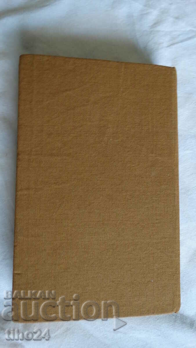 Stoyan Zagorchynov - Day last day - 5