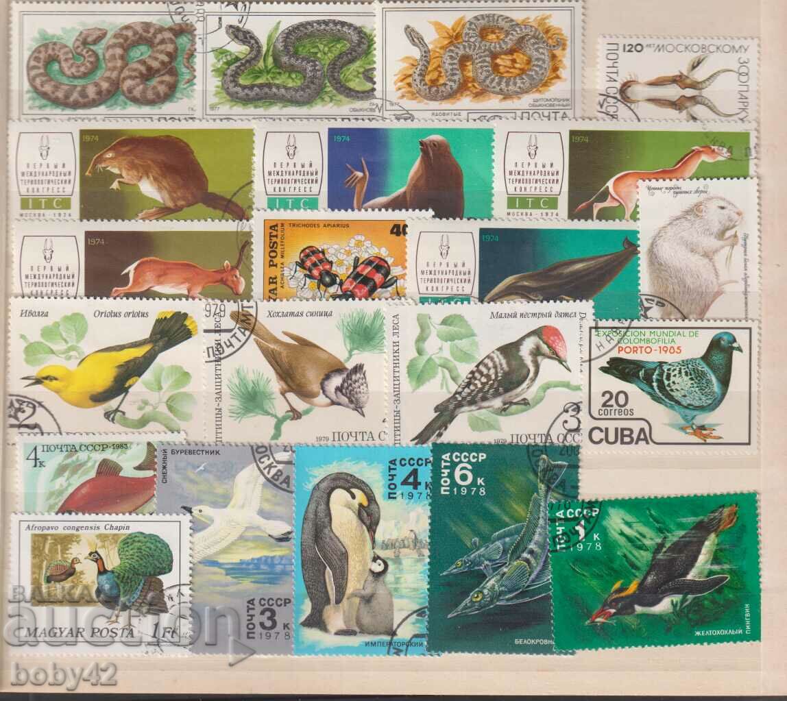 Fauna - URSS 45 timbre poștale,