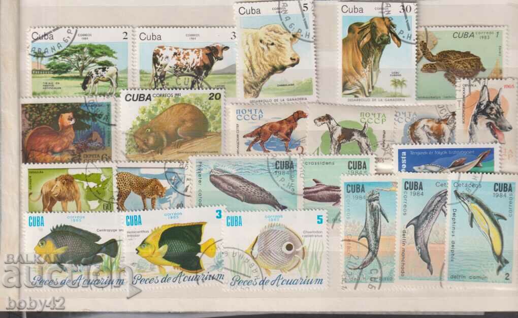 Фауна Куба- домошни животни, риби, птици 40 п. марки001