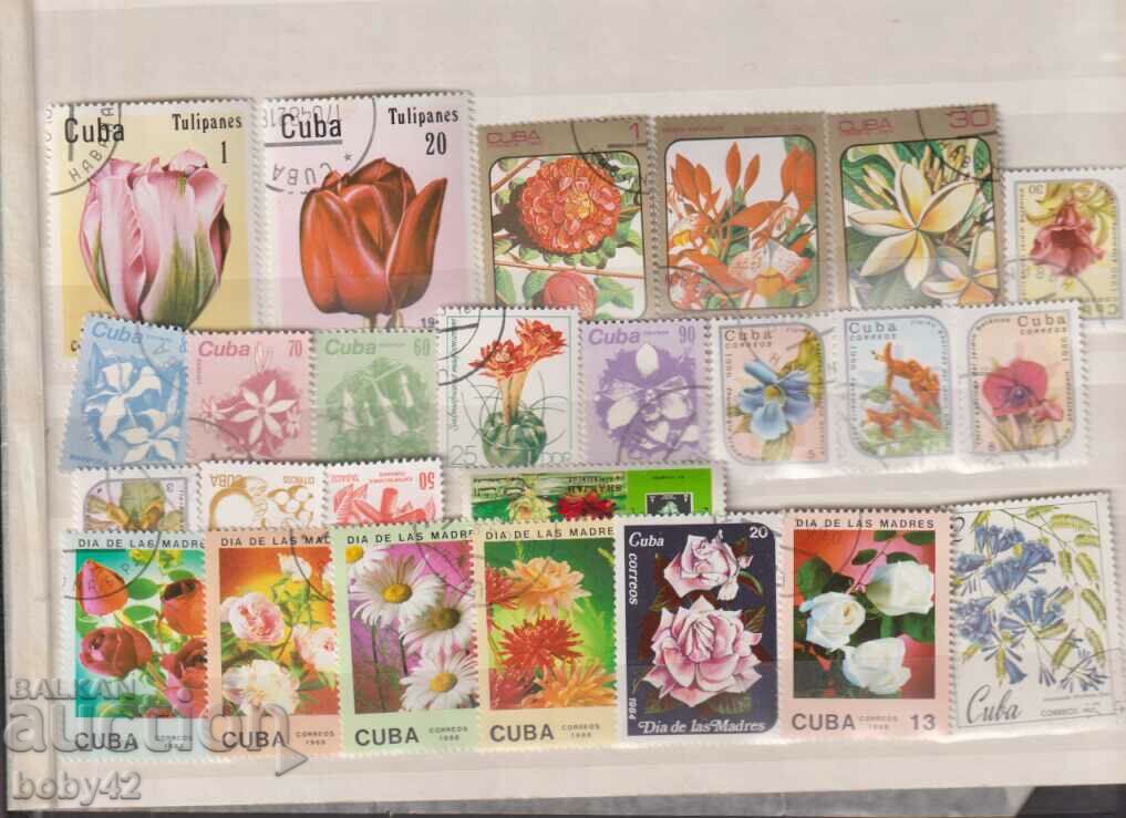 Flora - Cuba, Flowers and mushrooms 39 stamps
