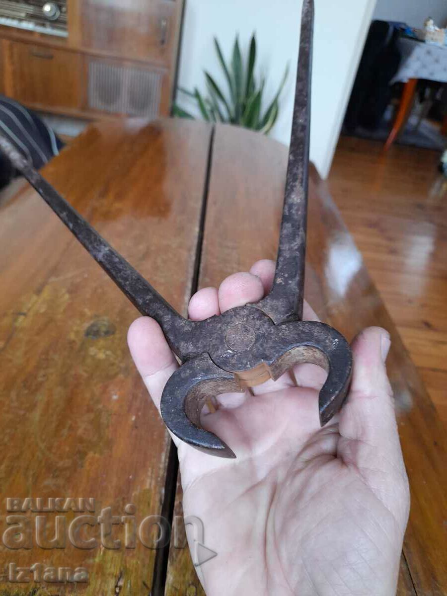 Clești antici - 5
