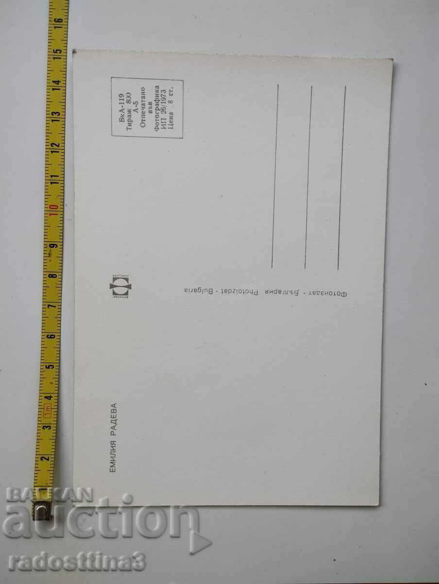 A card from the social worker Emilia Radeva with price 1.99 BGN | € 1.02 A card from the social worker Emilia Radeva with price 1.99 BGN | € 1.02