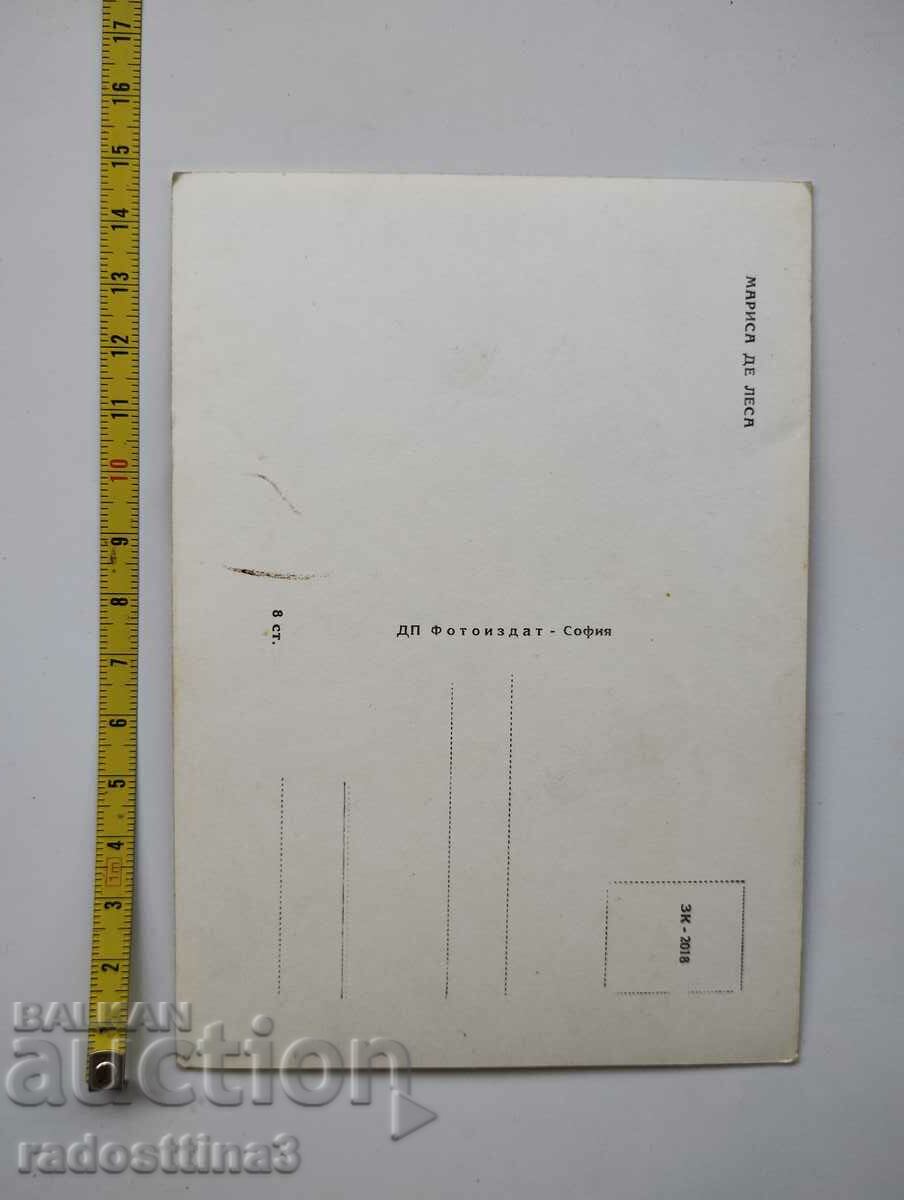 Card by Soca Marisa De Lisa with price 0.99 BGN | € 0.51