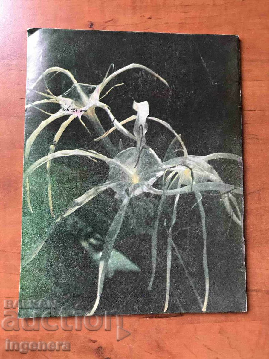 MAGAZINE KOSMOS-2/1981 with price 3.00 BGN | € 1.53 MAGAZINE KOSMOS-2/1981 with price 3.00 BGN | € 1.53