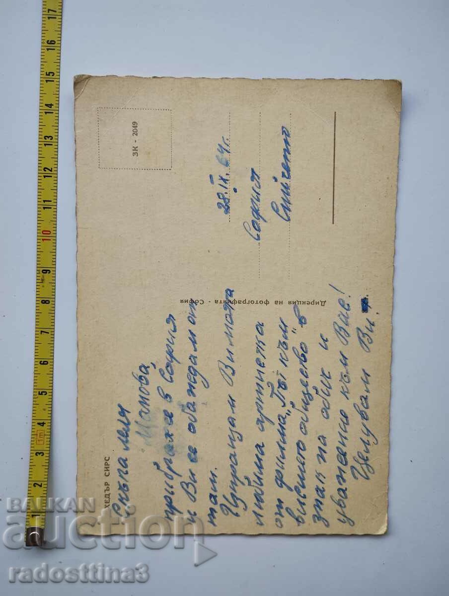 Card by soca Heather Sears with price 0.99 BGN | € 0.51