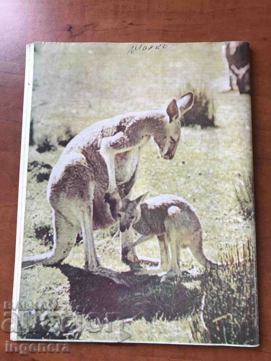 KOSMOS MAGAZINE-7/1980 with price 3.00 BGN | € 1.53 KOSMOS MAGAZINE-7/1980 with price 3.00 BGN | € 1.53