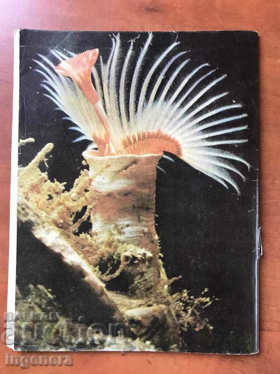 MAGAZINE KOSMOS-2/1980 with price 3.00 BGN | € 1.53 MAGAZINE KOSMOS-2/1980 with price 3.00 BGN | € 1.53