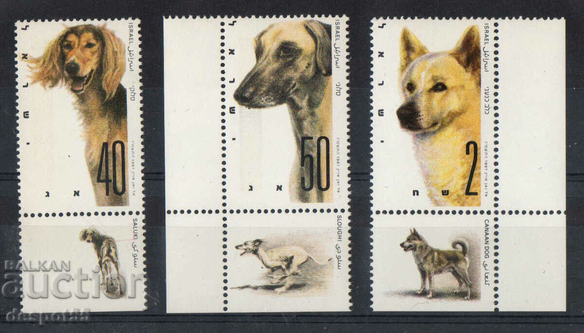 1987. Ισραήλ. World Dog Show. Σκύλοι από το Ισραήλ