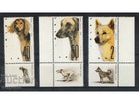 1987. Israel. Expoziție canină mondială. Câini din Israel