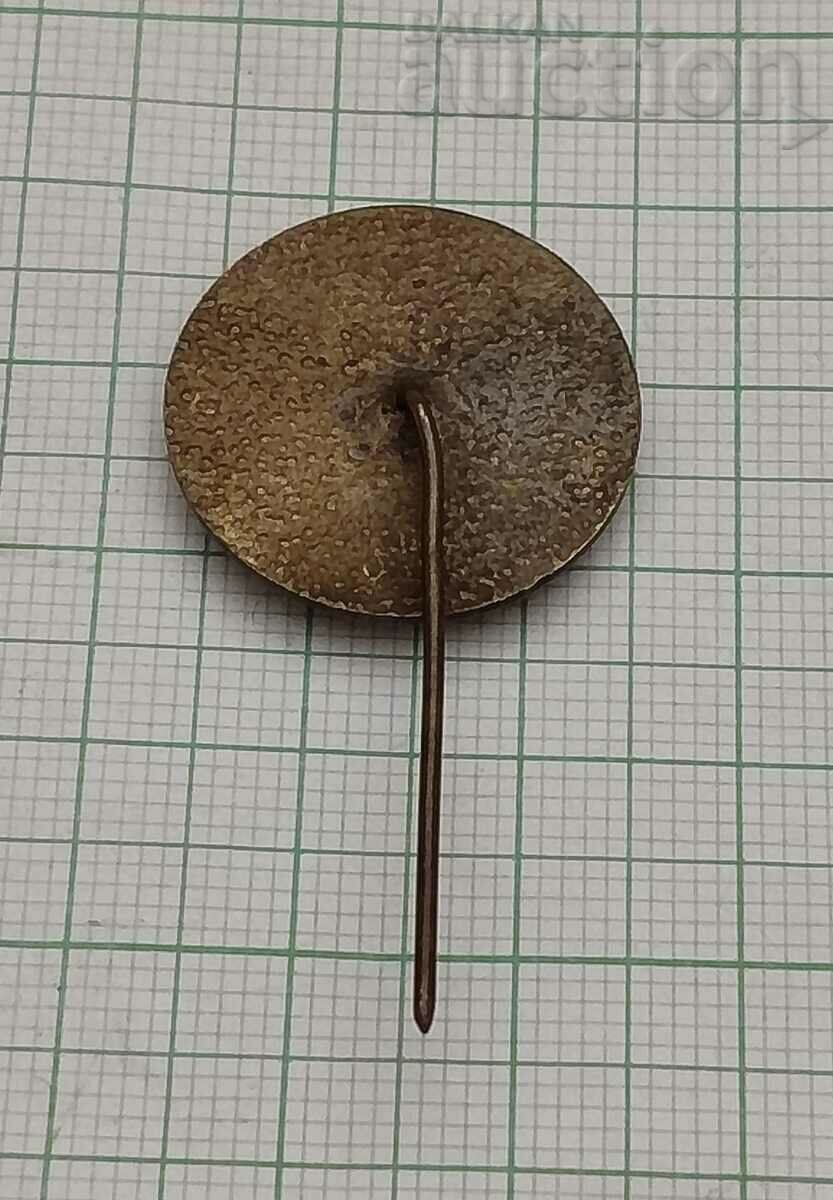 VELIKO TARNOVO HISTORICAL MUSEUM 100 years BADGE with price 2.00 BGN | € 1.02 VELIKO TARNOVO HISTORICAL MUSEUM 100 years BADGE with price 2.00 BGN | € 1.02