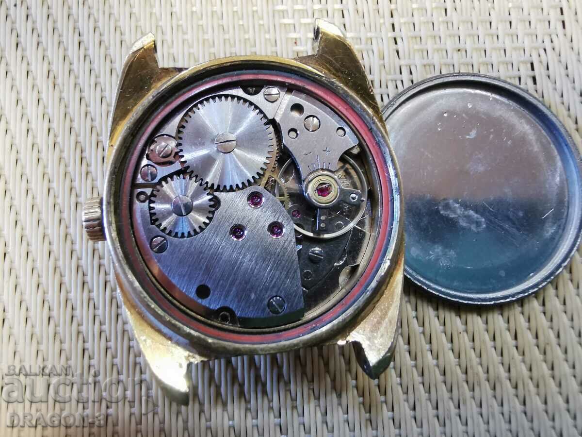 Delivery of GOLDEN PRATINA