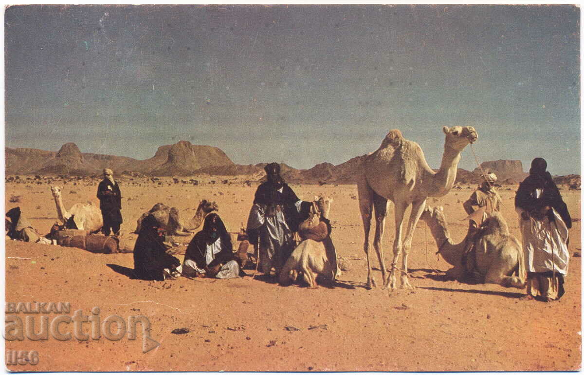 Алжир - Таманрасет - етнография - керван Туареги - 1972