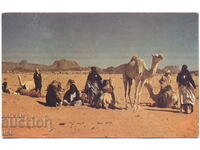 Алжир - Таманрасет - етнография - керван Туареги - 1972