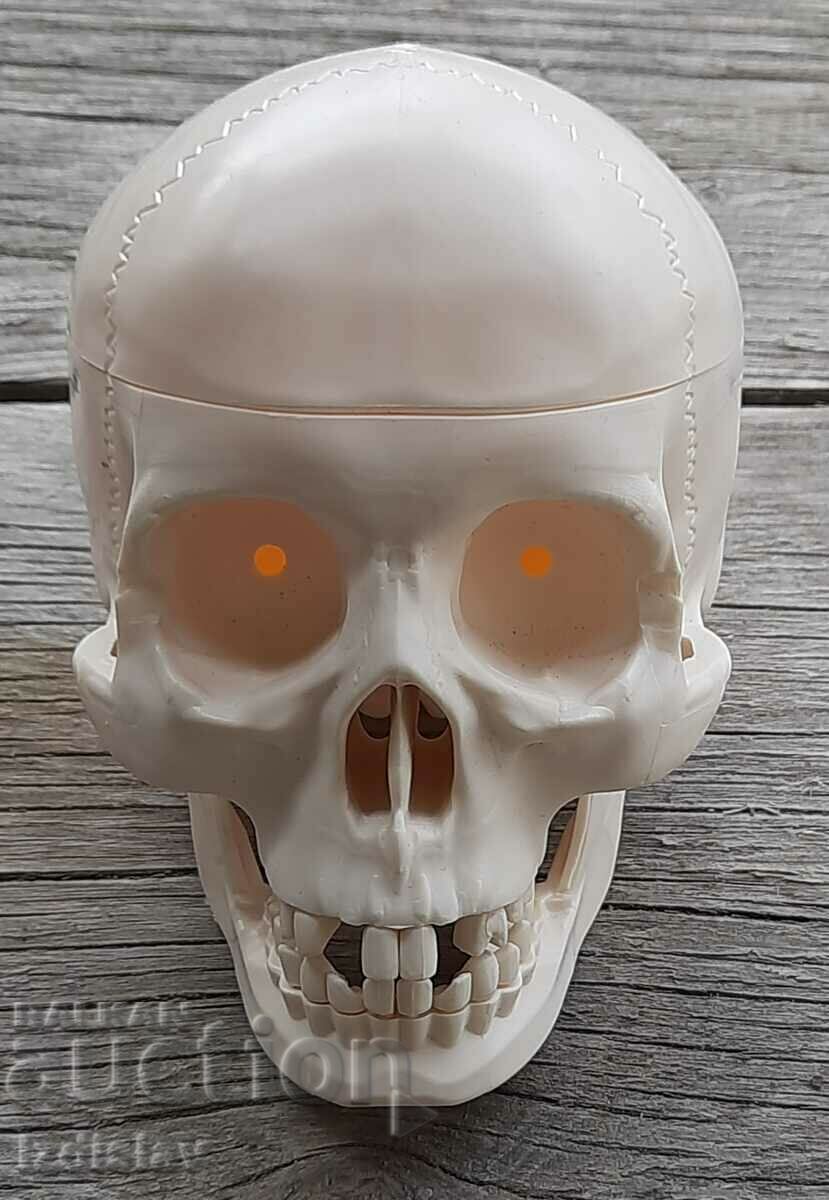 Plastic anatomical teaching model of a human skull