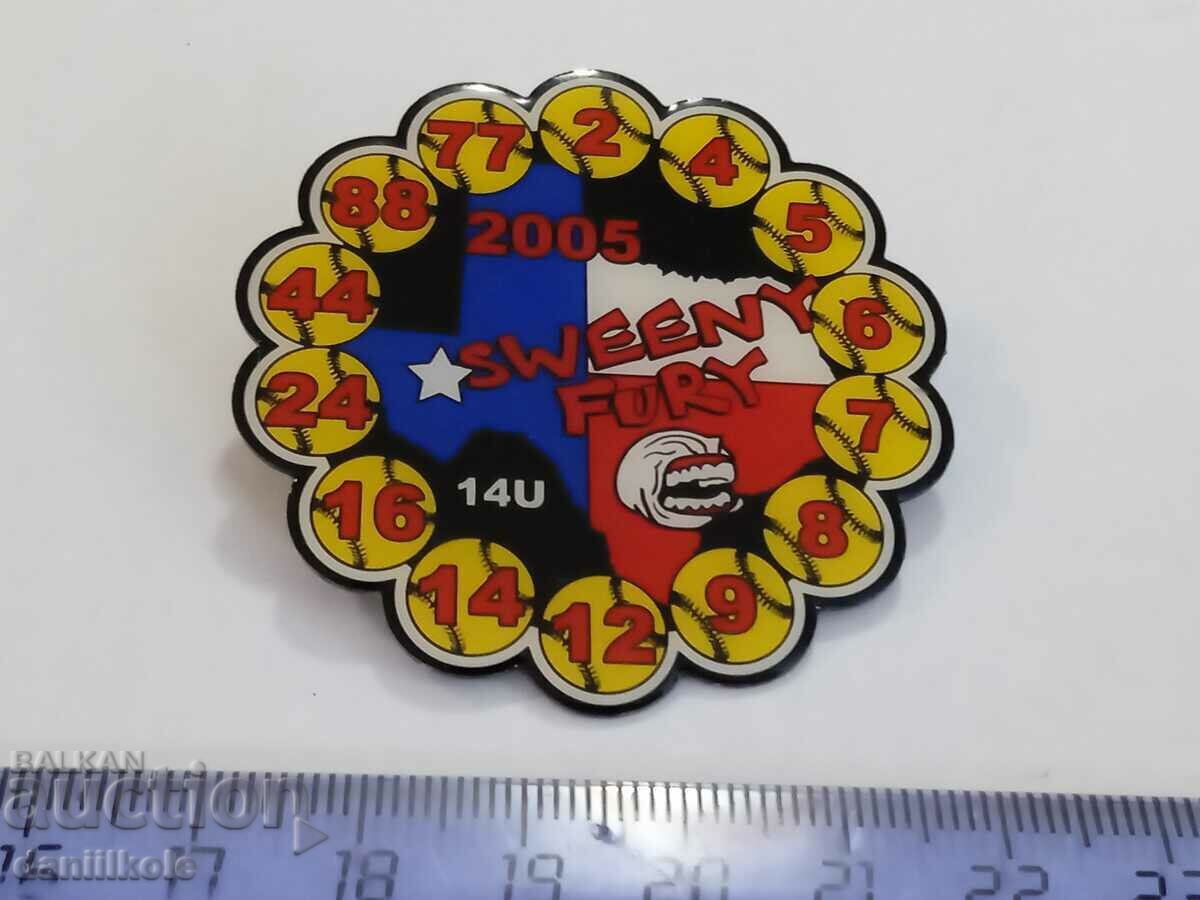 *$*Y*$* USA BADGE PIN BASEBALL SOFTBALL - SUPER - RRR *$*Y*$* - 5