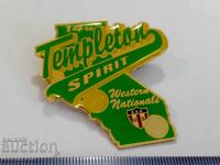 *$*Y*$* USA BADGE PIN BASEBALL SOFTBALL - SUPER - RRR *$*Y*$*