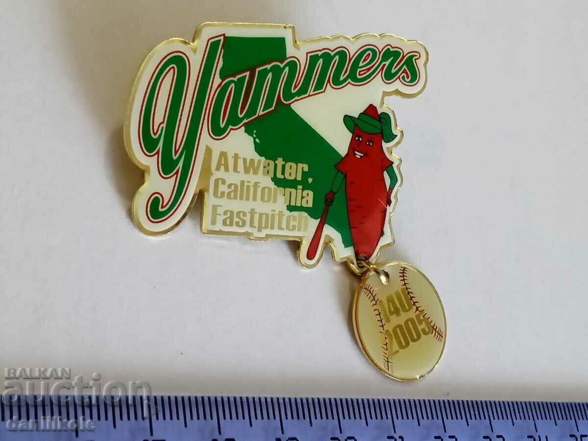 *$*Y*$* USA BADGE PIN BASEBALL SOFTBALL - SUPER - RRR *$*Y*$* - 5