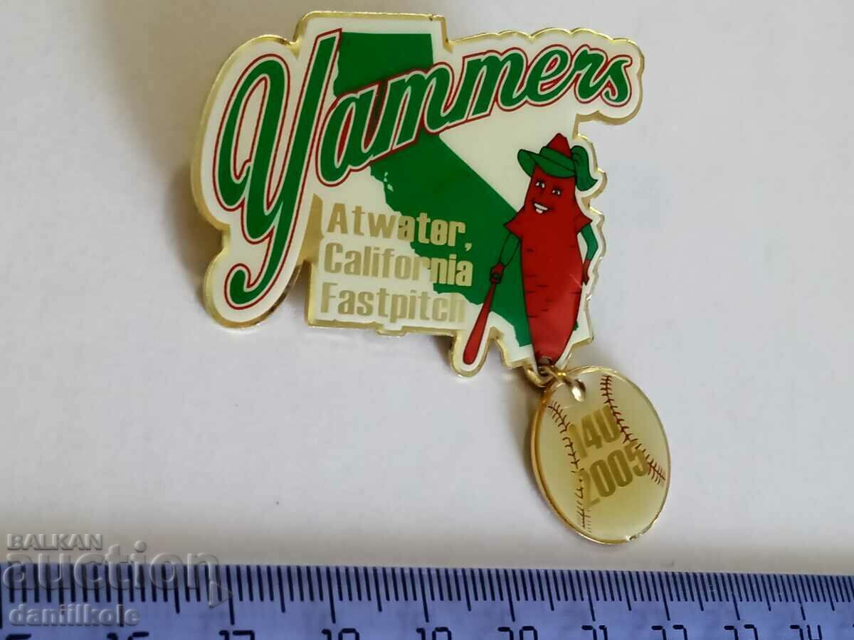 *$*Y*$* USA BADGE PIN BASEBALL SOFTBALL - SUPER - RRR *$*Y*$*