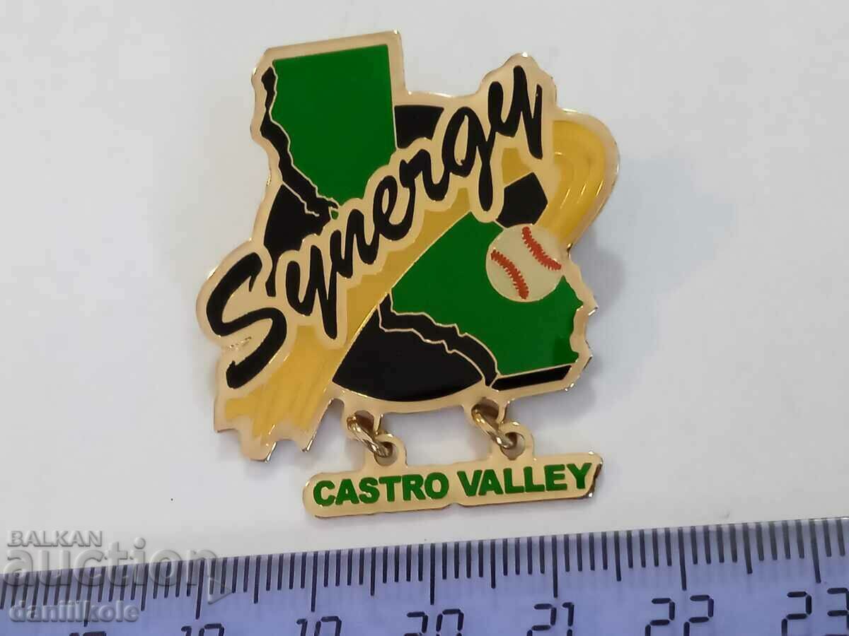 Delivery of *$*Y*$* USA BADGE PIN BASEBALL SOFTBALL - SUPER - RRR *$*Y*$* Delivery of *$*Y*$* USA BADGE PIN BASEBALL SOFTBALL - SUPER - RRR *$*Y*$*