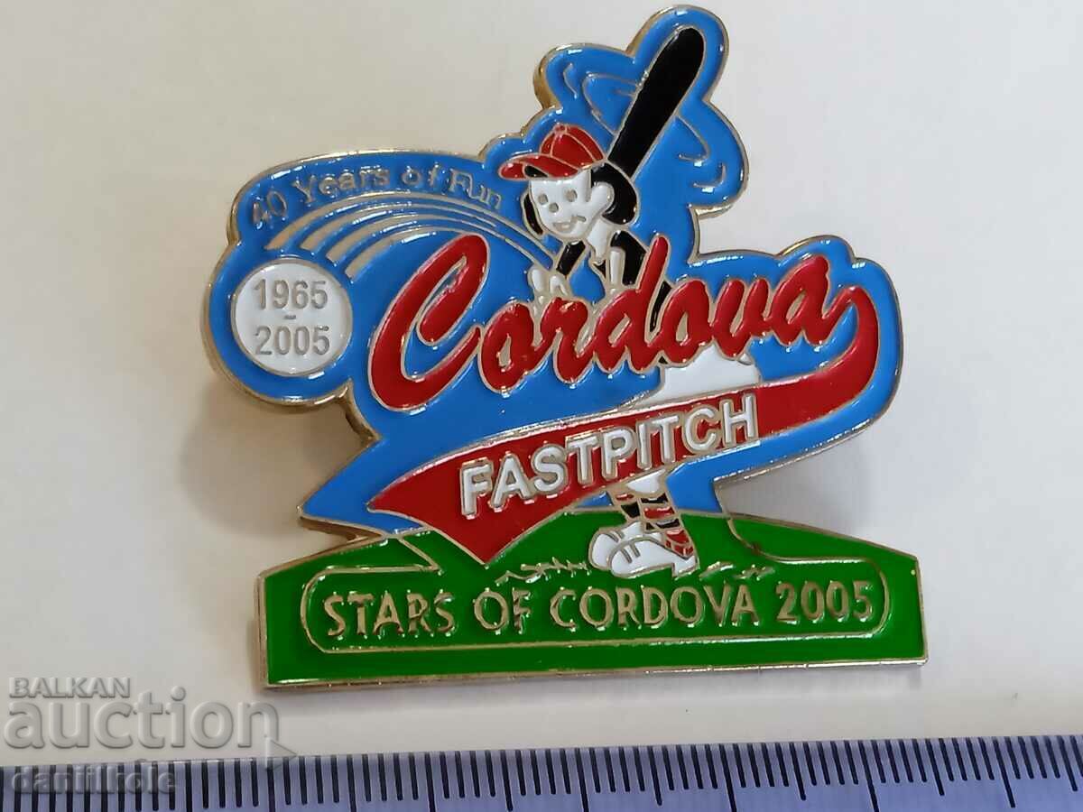 *$*Y*$* USA BADGE PIN BASEBALL SOFTBALL - SUPER - RRR *$*Y*$* - 5 *$*Y*$* USA BADGE PIN BASEBALL SOFTBALL - SUPER - RRR *$*Y*$* - 5