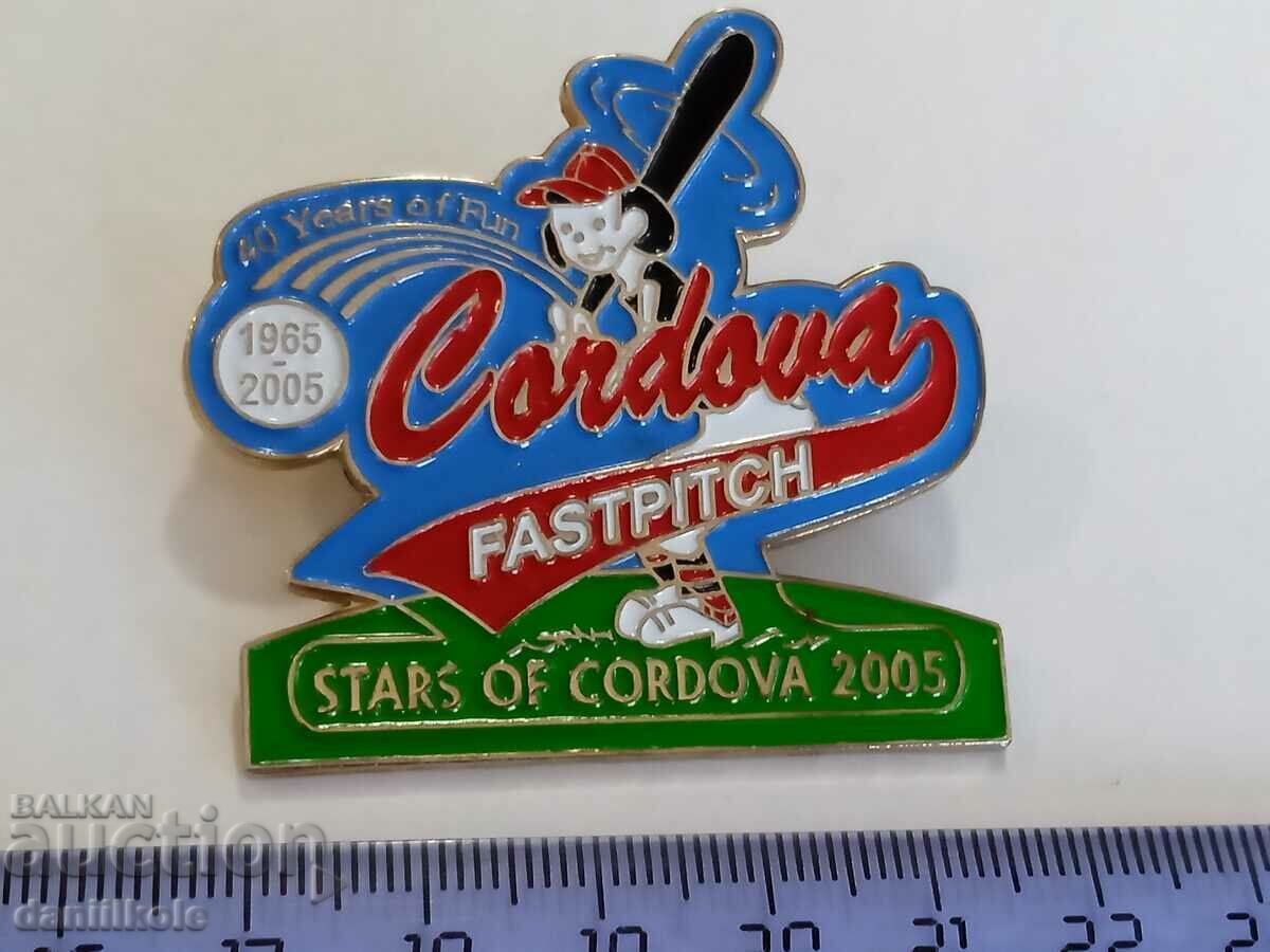 *$*Y*$* USA BADGE PIN BASEBALL SOFTBALL - SUPER - RRR *$*Y*$* *$*Y*$* USA BADGE PIN BASEBALL SOFTBALL - SUPER - RRR *$*Y*$*