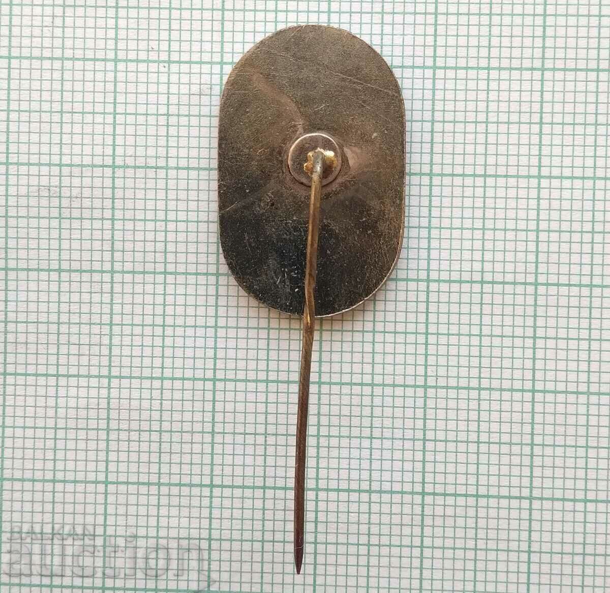 Delivery of 14769 Badge - Riga Sports Games 1972 - enamel Delivery of 14769 Badge - Riga Sports Games 1972 - enamel