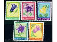 2631 Bulgaria 1977 Mountain Flowers **