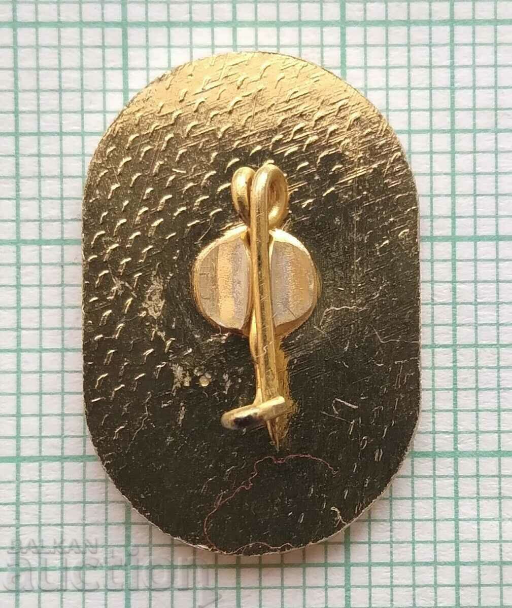 Auction 14776 Badge - District Council of BSFS Targovishte Auction 14776 Badge - District Council of BSFS Targovishte