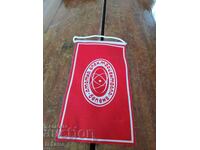 Steagul vechi, steag CNE Belene