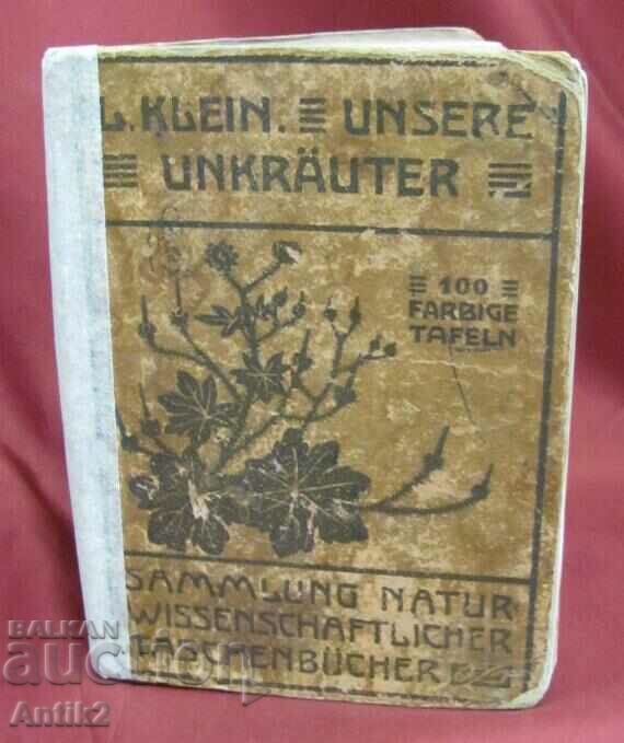 Antique Book of Herbs Germany