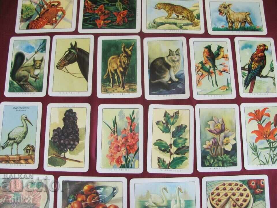 Ventich Set of Playing Cards 40 pcs. + 40 pcs. - 7 Ventich Set of Playing Cards 40 pcs. + 40 pcs. - 7