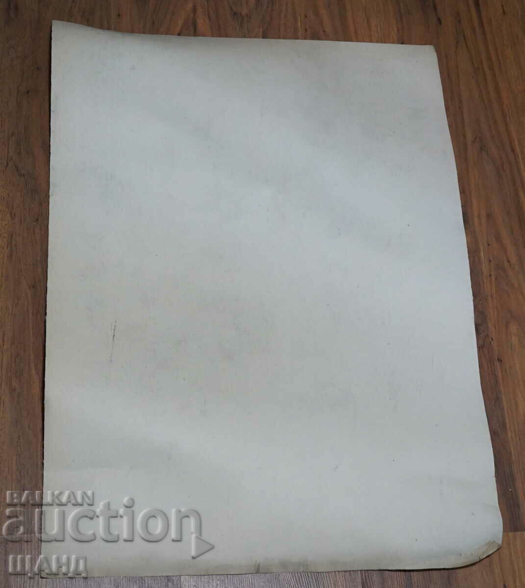 Prof. Georgi Bogdanov Drawing cartoon project poster with price 8.00 BGN | € 4.09 Prof. Georgi Bogdanov Drawing cartoon project poster with price 8.00 BGN | € 4.09