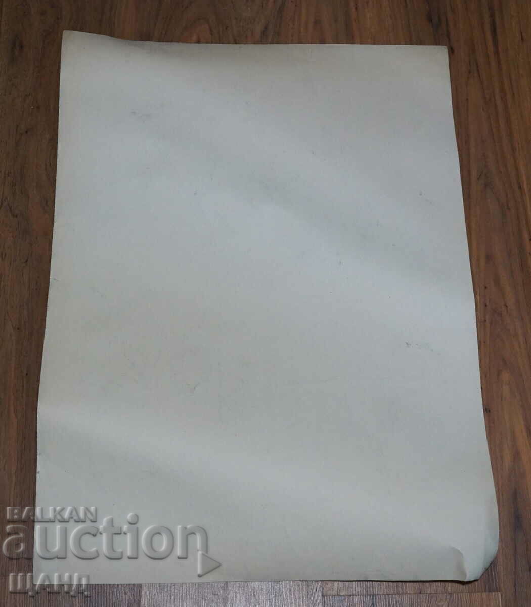 Prof. Georgi Bogdanov Drawing cartoon project poster with price 8.00 BGN | € 4.09 Prof. Georgi Bogdanov Drawing cartoon project poster with price 8.00 BGN | € 4.09