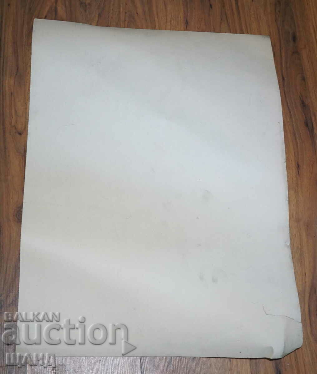 Prof. Georgi Bogdanov Drawing cartoon project poster with price 8.00 BGN | € 4.09 Prof. Georgi Bogdanov Drawing cartoon project poster with price 8.00 BGN | € 4.09