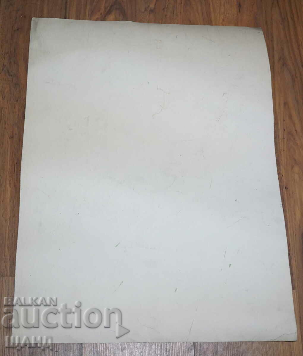 Prof. Georgi Bogdanov Drawing cartoon project poster with price 8.00 BGN | € 4.09 Prof. Georgi Bogdanov Drawing cartoon project poster with price 8.00 BGN | € 4.09