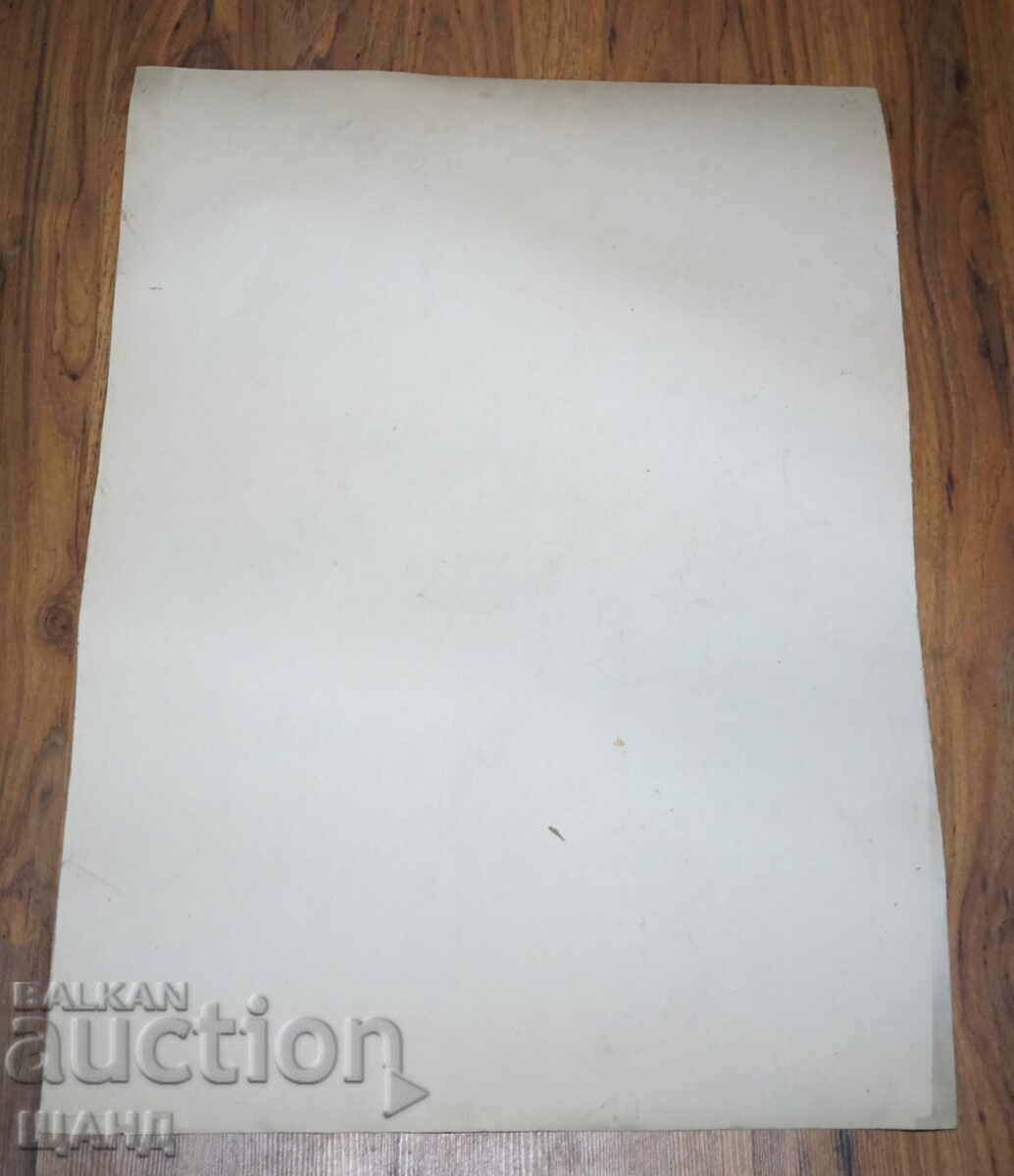 Prof. Georgi Bogdanov Drawing cartoon project poster with price 8.00 BGN | € 4.09 Prof. Georgi Bogdanov Drawing cartoon project poster with price 8.00 BGN | € 4.09