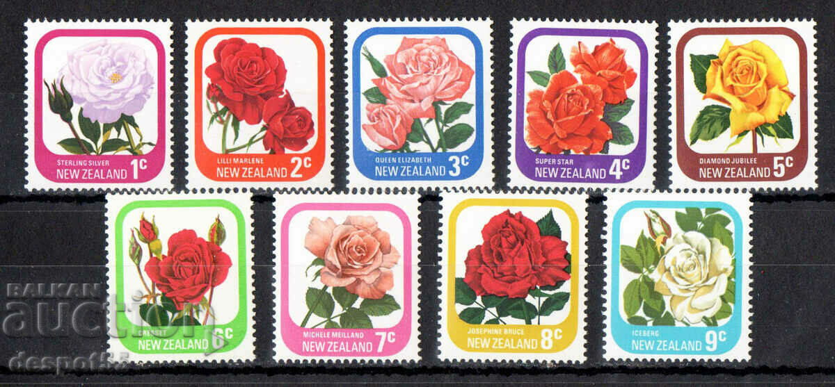 1975-79. Noua Zeelandă. Trandafiri de gradina.