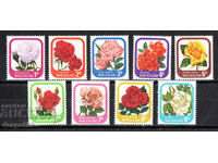 1975-79. Νέα Ζηλανδία. Τριαντάφυλλα κήπου.