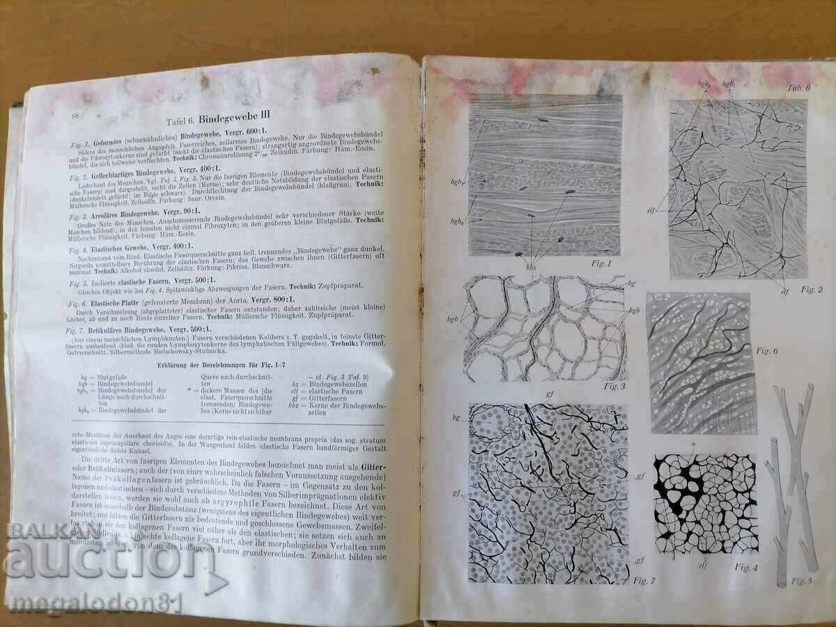 Delivery of Atlas and reference book of histology and micro-anatomy - J . Sobo Delivery of Atlas and reference book of histology and micro-anatomy - J . Sobo