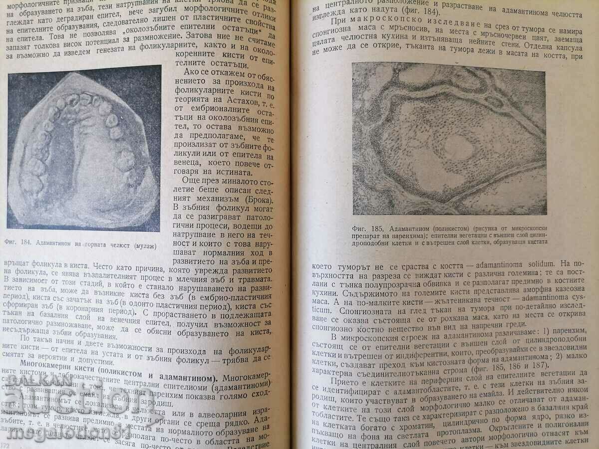 Auction Surgical Dentistry, ed. 1953 Auction Surgical Dentistry, ed. 1953