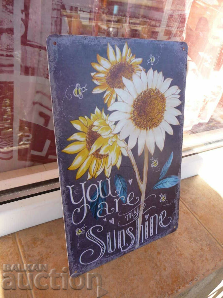 Metal plate message You are my sunshine sunshine love with price 18.00 BGN | € 9.20