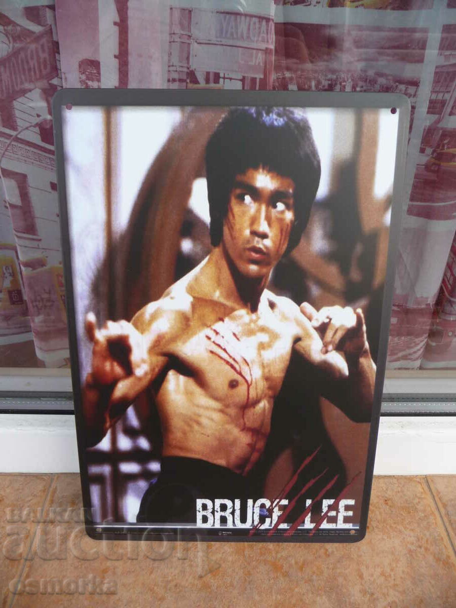 Bruce Lee Metal Sign Bruce Lee Karate Kung Fu Dragon Fight