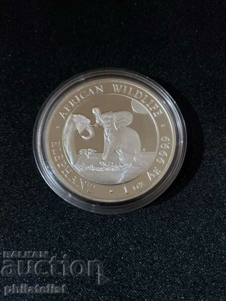 Сомалия 2024  - 100 Шилинга - 1 OZ - Сребърна монета