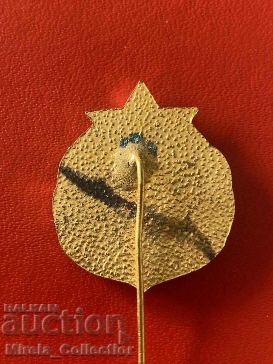 Delivery of Badge 80 years BKP Sliven Bulgaria Delivery of Badge 80 years BKP Sliven Bulgaria